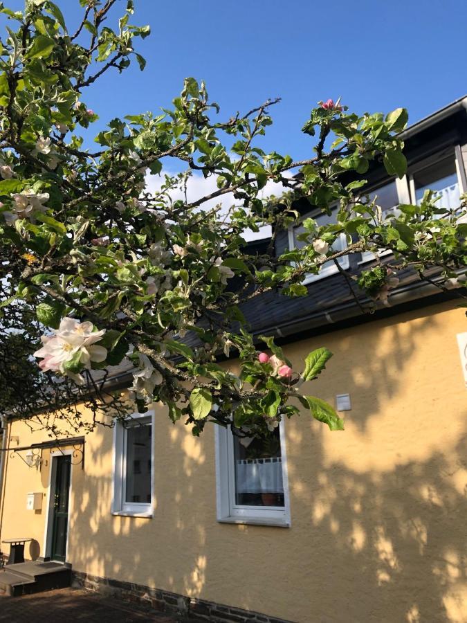 Am Apfelbaum, Ein Ferienhaus Zwischen Rhein Und Mosel Kastellaun Exterior foto