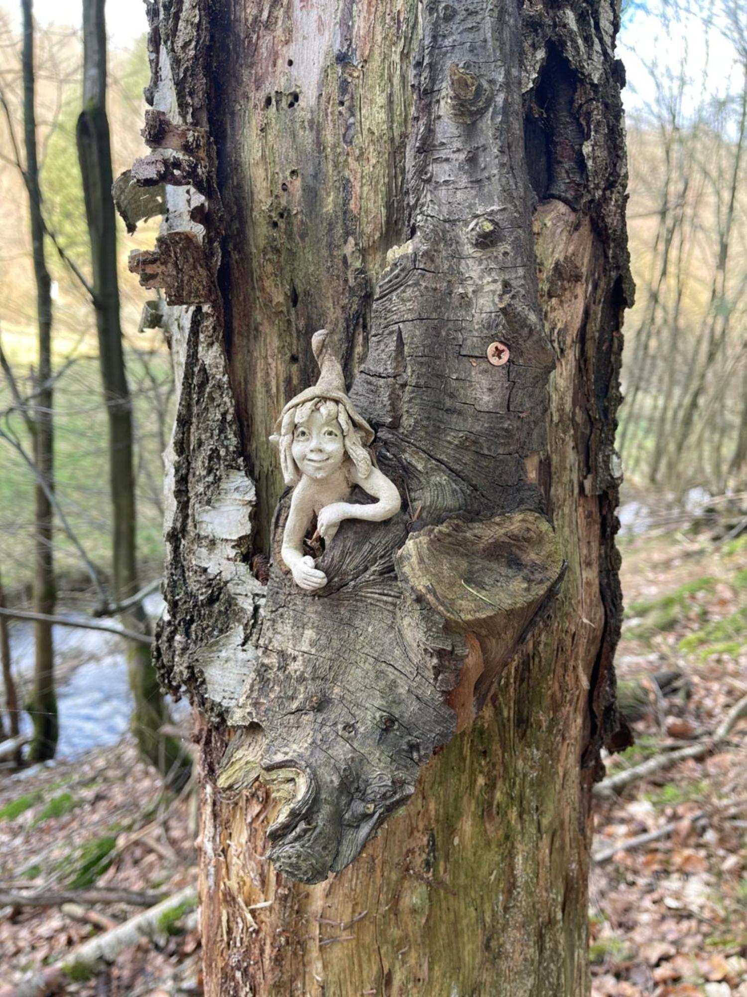 Am Apfelbaum, Ein Ferienhaus Zwischen Rhein Und Mosel Kastellaun Exterior foto